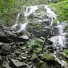 Picture for song 'Happy Sound' by artist 'Bass Extractor'