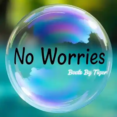 Picture for song 'No Worries' by artist 'Beats By Tiger'