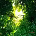 Picture for song 'fast cars' by artist 'crow44'