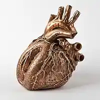 Picture for song '*NEW* For You (FREE D/L)' by artist 'Dope Orchestra'