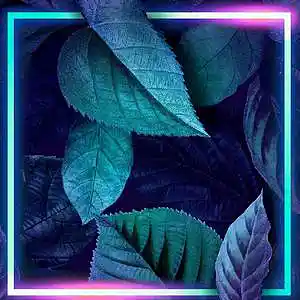 cover pic