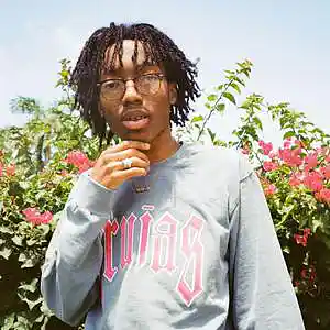 Picture for song 'Fine' by artist 'SlayBoi'