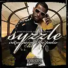 Picture for song 'IT's A RAP...feat. MYSTERY' by artist 'SYZZLE'