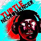 Picture for song 'Just a Couple More Blocks' by artist 'Turtle Necromancer'