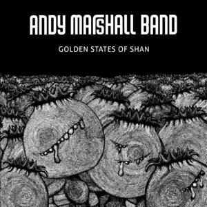 Picture for song 'Spacedirt' by artist 'AM Band'