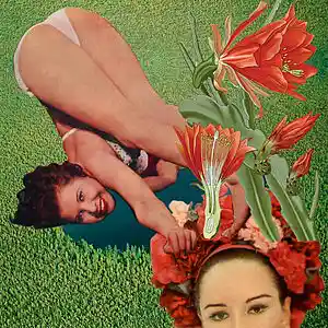 Picture for song 'Robert Dunn - 'Quickie' by Jamie Aeborsold (Acoust' by artist 'Acoustic Guitar Mayhem'