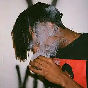 Picture for song 'Playboi Carti x Cen karson Type Beat' by artist 'Ajstyle'