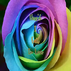Picture for song 'Howd I Fall In Love' by artist 'Anac On The Beat'