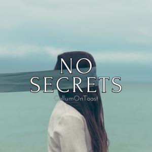 Picture for song 'No Secrets' by artist 'CallumOnToast'