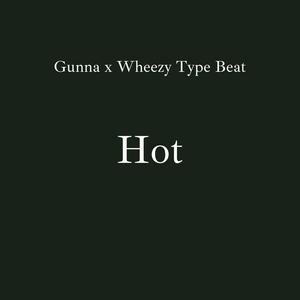 Picture for song 'Hot [Gunna x Wheezy Type Beat]' by artist 'DJ Mauri B'
