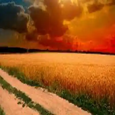 Picture for song 'Lil Tjay x Kodak Black x Post Malone Type Beat Sun' by artist 'Kontact Beatz'