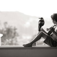 Picture for song 'Tamed' by artist 'Leonard Scaper'