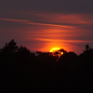 Picture for song 'sight of the day' by artist 'Mattila'