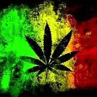 Picture for song 'GANJA SMOKIN' (REGGAE VIBES)' by artist 'Monster Music'