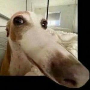 Picture for song 'REVENGE - Larry June x Curren$y x Dom Kennedy' by artist 'nolyrics music group'