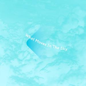 Picture for song 'What Moves In The Sky' by artist 'startats'