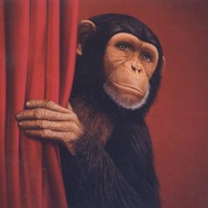 Picture for song 'Red Peter' by artist 'Pete Moss and the Weed Wackers'