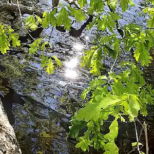 Picture for song '"Heavenly"' by artist 'Prod.LavishTheOne'