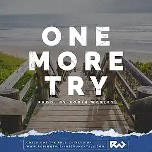 Picture for song 'One More Try pt. 2' by artist 'Robin Wesley'