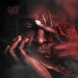 Picture for song '21 SAVAGE "DROWING"' by artist 'storm on da beat'