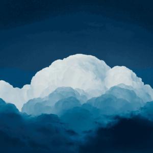 Picture for song 'Freedom Beat' by artist 'whtrwl'