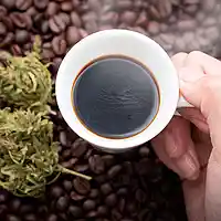 Picture for song 'Weed And Coffee Instrumental' by artist 'XVXproducer'