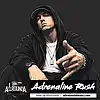 Picture for song 'ADRENALINE RUSH - (Eminem Type Beat)' by artist 'ALLROUNDA Productions'