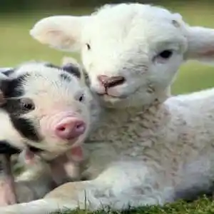 Picture for song 'It's Not Your Fault' by artist 'Eric Dubay'