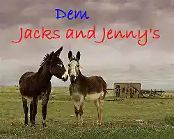 Song picture of 'Jack's and Jenny's'