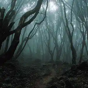 Picture for song 'A Journey To The Mystic Land' by artist 'Klaatu (CT)'