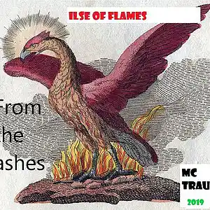 Picture for song 'Isle of Flames' by artist 'Mc 'Head Trauma'
