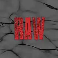 Picture for song 'Raw' by artist 'Space Pirate'