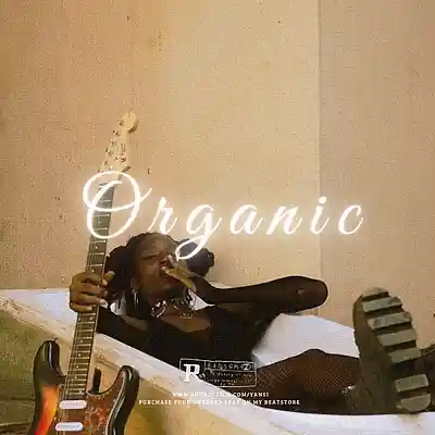 Picture for song '"Organic" Afrobeat x Guitar Type Beat' by artist 'yansi'