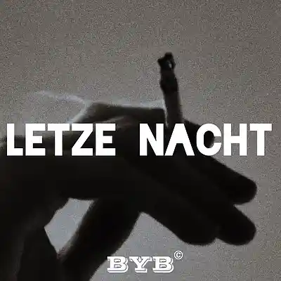 Picture for song 'Letzte Nacht' by artist 'Done Dome'