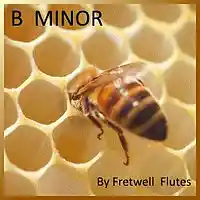 Picture for song 'FF - B Minor' by artist 'Fretwell Flutes'