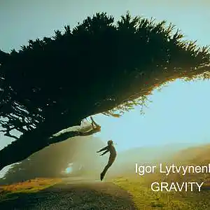 Picture for song 'Gravity' by artist 'Igor Lytvynenko'