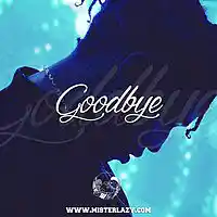 Picture for song 'Goodbye *A$ap Rocky*' by artist 'Mister Lazy'