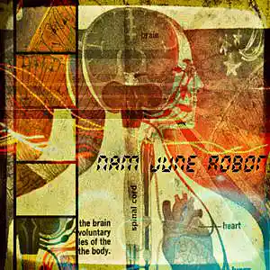 Picture for song 'Hologram' by artist 'Nam June Robot'