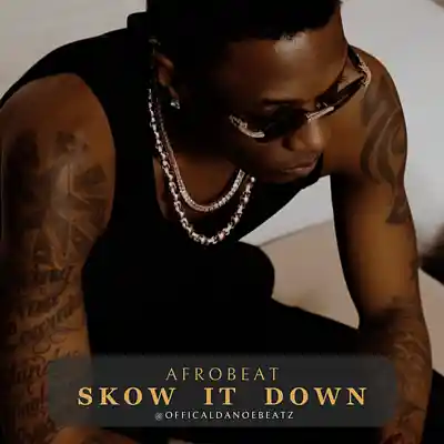 Picture for song 'SLOW IT DOWN - Afrobeat' by artist 'OfficialDanoeBeatz'