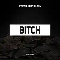 Picture for song 'B!tch' by artist 'Parabellum Beats'