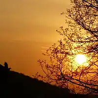 Picture for song 'Sandra-BronderKeinWegzuweit' by artist 'Sandra Bronder'