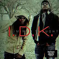 Picture for song 'Subliminal Thought - IDK - (Radio Edit)' by artist 'SUBLIMINAL THOUGHT'