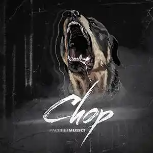 Picture for song 'Chop' by artist 'Sunrise Music!'