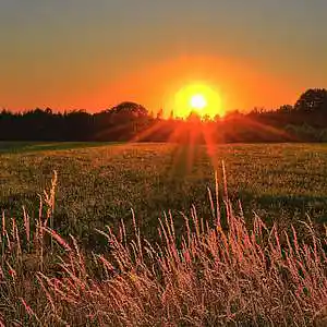 Picture for song 'Tomorrow (Instrumental)' by artist 'Denzlo'