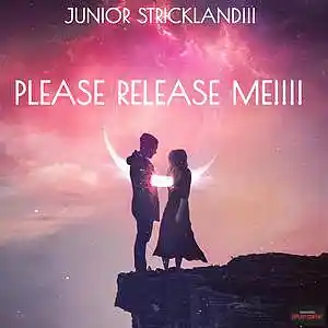 Picture for song 'RELEASE ME!!!' by artist 'JUNIOR STRICKLAND'