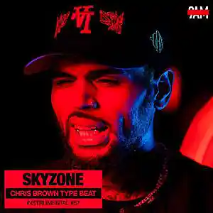 Picture for song 'Skyzone - Chris Brown Type Beat' by artist 'Prod. by 9AM'