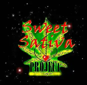 Picture for song 'Shortcut (uptempo version)' by artist 'Sweet Sativa Project'