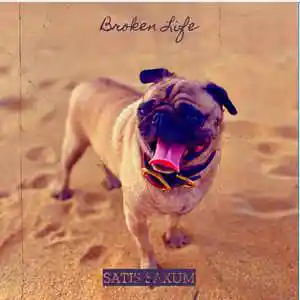 Picture for song 'Broken Life' by artist 'Satis Saxum'