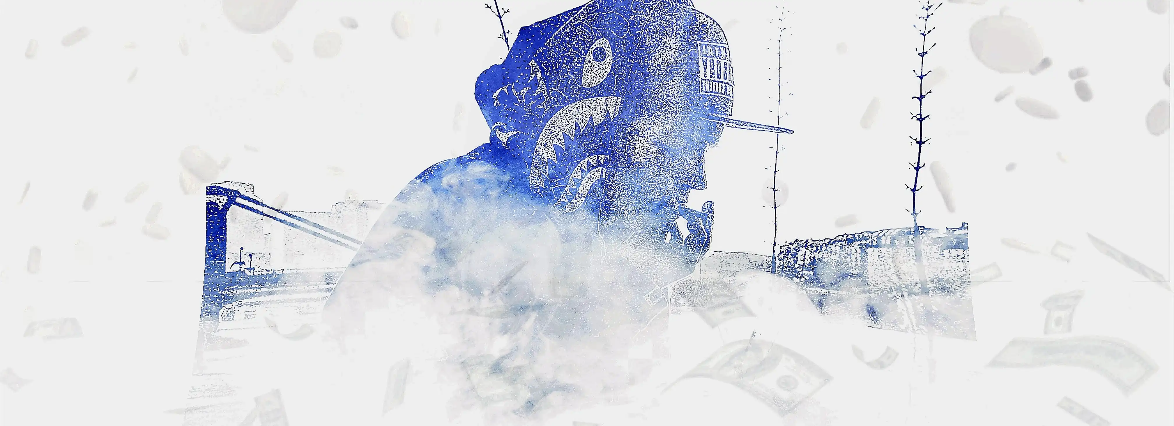 cover pic