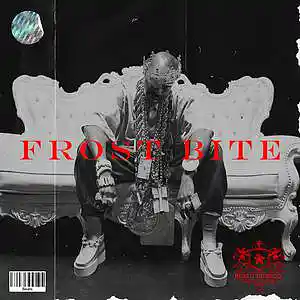 Picture for song '"FROST BITE" Energetic Mellow Boom bap' by artist 'beatitupprod'